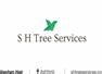 S H Tree Services Ashford (Middlesex)