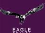 Eagle Executive Travel Limited Bedford