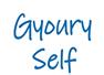 Gyoury Self Partnership (Brighton and Hove) Brighton