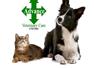 Advance Veterinary Care Lisburn