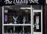 The Oddity Box Stoke-On-Trent