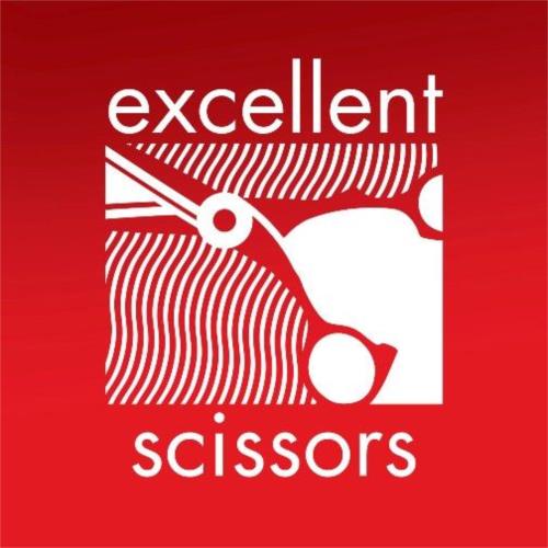 Excellent Scissors Belfast