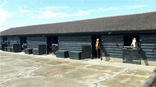 Widmer Farm Livery Stables Beaconsfield