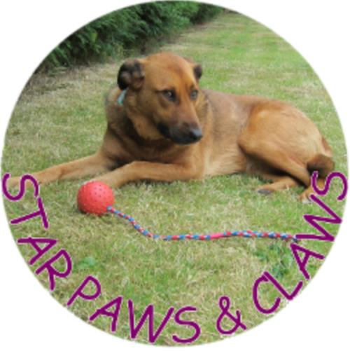 Star Paws and Claws Sutton-In-Ashfield