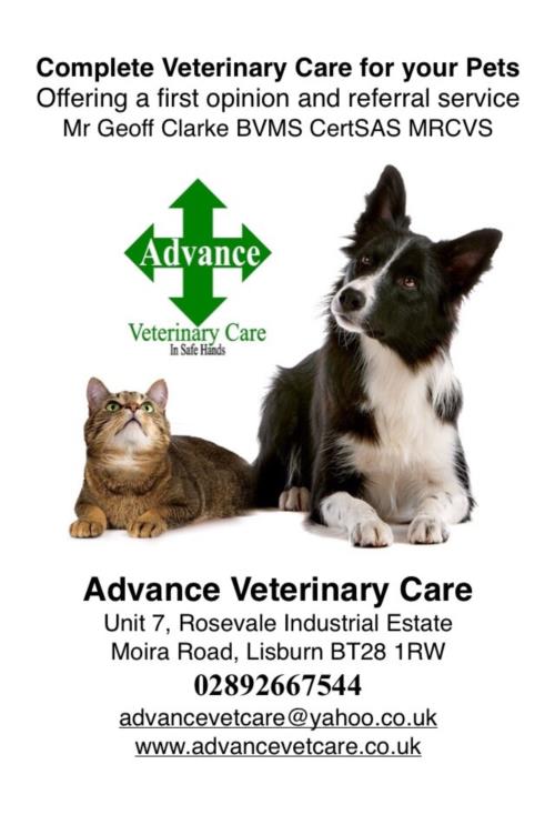 Advance Veterinary Care Lisburn